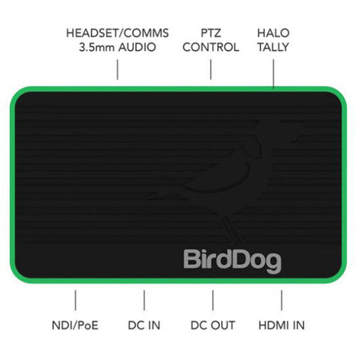 birddog headset black box top view specifications